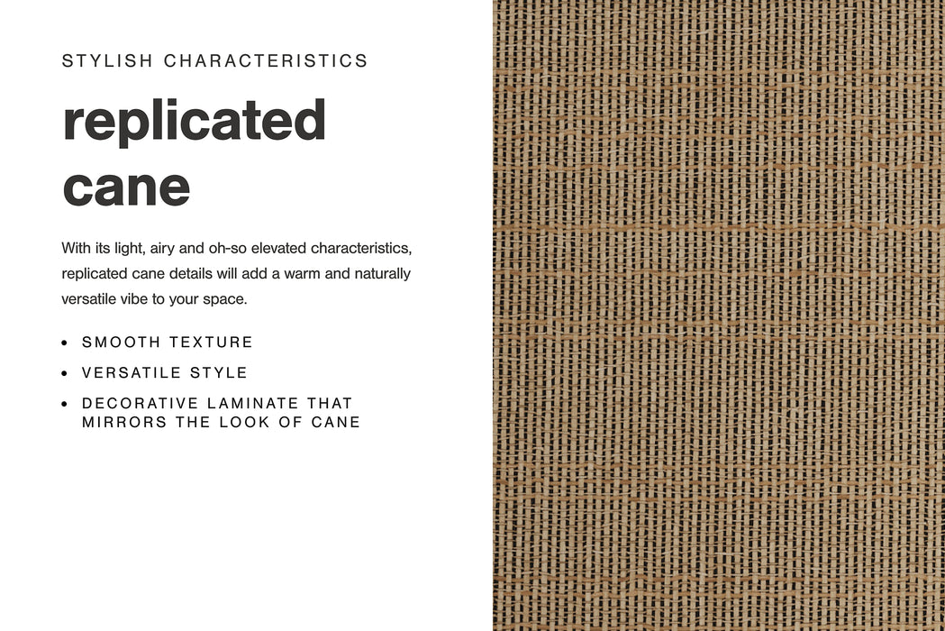 Cielden Full Panel Bed with Mirrored Dresser